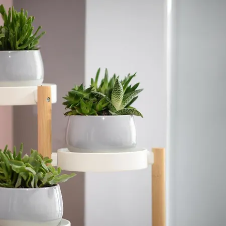 Callisto 3 Bedroom Διαμέρισμα *