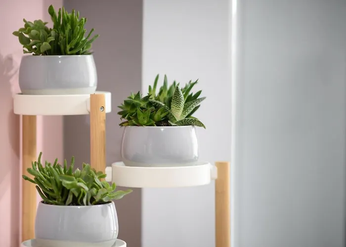 Callisto 3 Bedroom Apartment *