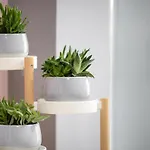 Callisto 3 Bedroom Апартаменти *